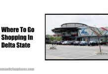 Where To Go Shopping In Delta State 