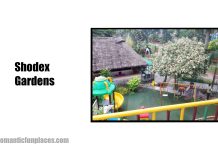 Shodex Gardens