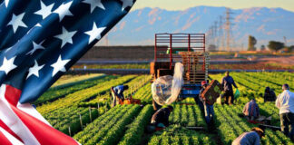 Agricultural Jobs in USA With Visa Sponsorship