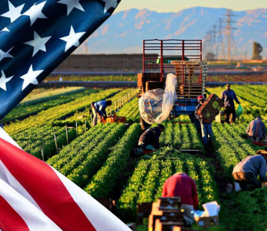 Agricultural Jobs in USA With Visa Sponsorship