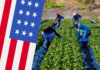 Farm Jobs in USA With Free Visa Sponsorship