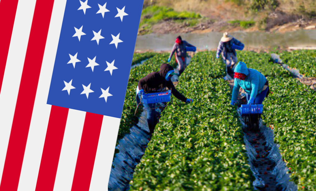Farm Jobs in USA With Free Visa Sponsorship