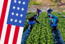 Farm Jobs in USA With Free Visa Sponsorship