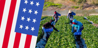 Farm Jobs in USA With Free Visa Sponsorship