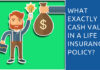 Cash Value Life Insurance