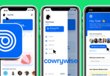 Cowrywise - Save, Invest, and Earn Online