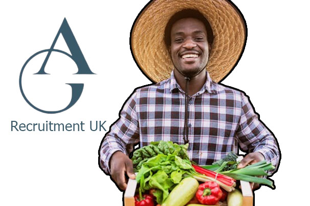 AG Recruitment UK - APPLY ONLINE