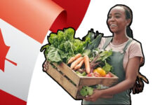 Farm Jobs in Canada with Free Visa Sponsorship 2025 Farm Jobs in Canada with Free Visa Sponsorship 2025