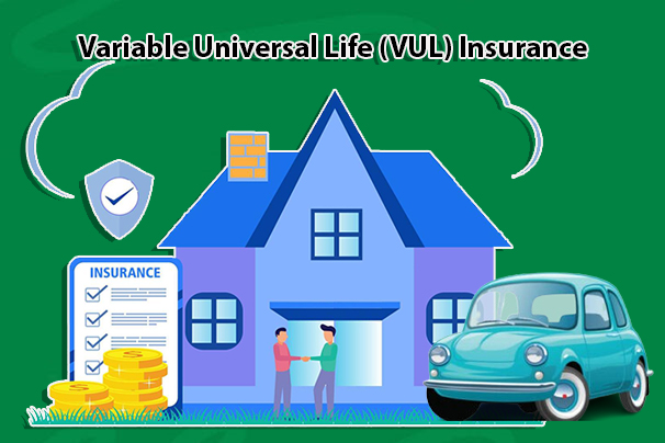 Variable Universal Life (VUL) Insurance