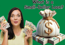 What is a Small-Dollar Loan? What is a Small-Dollar Loan?