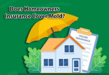 Does Homeowners Insurance Cover Mold? Does Homeowners Insurance Cover Mold?