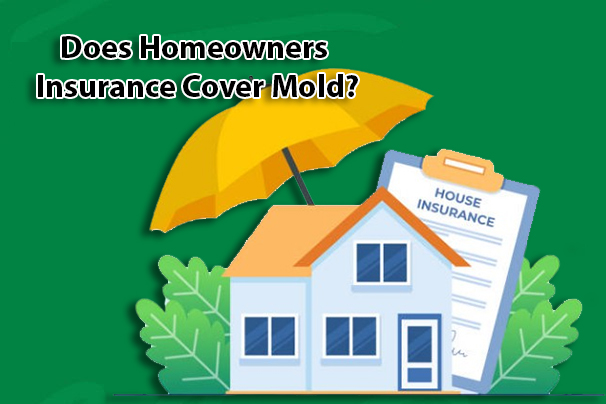 Does Homeowners Insurance Cover Mold?