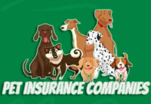 Best Pet Insurance Companies Best Pet Insurance Companies