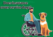 Does insurance cover service dogs? Does insurance cover service dogs?