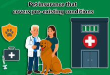 Pet insurance that covers pre-existing conditions Pet insurance that covers pre-existing conditions