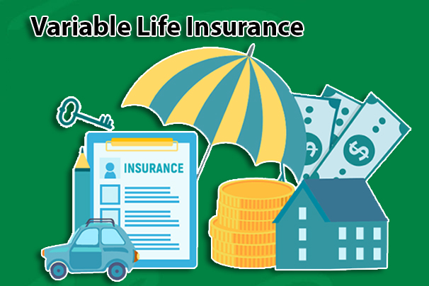 Variable Life Insurance